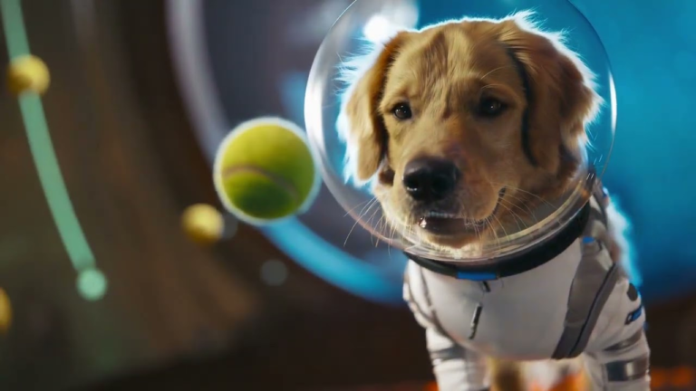 OpenAI Sora uygulamasını yayınladı: TikTok rakibi!