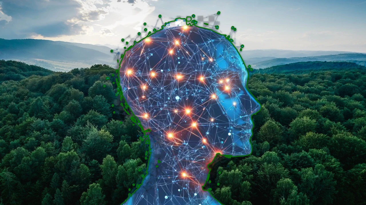 Yapay zeka ülkemizdeki ormanları koruyor!