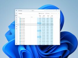 Windows 11 Görev Yöneticisi