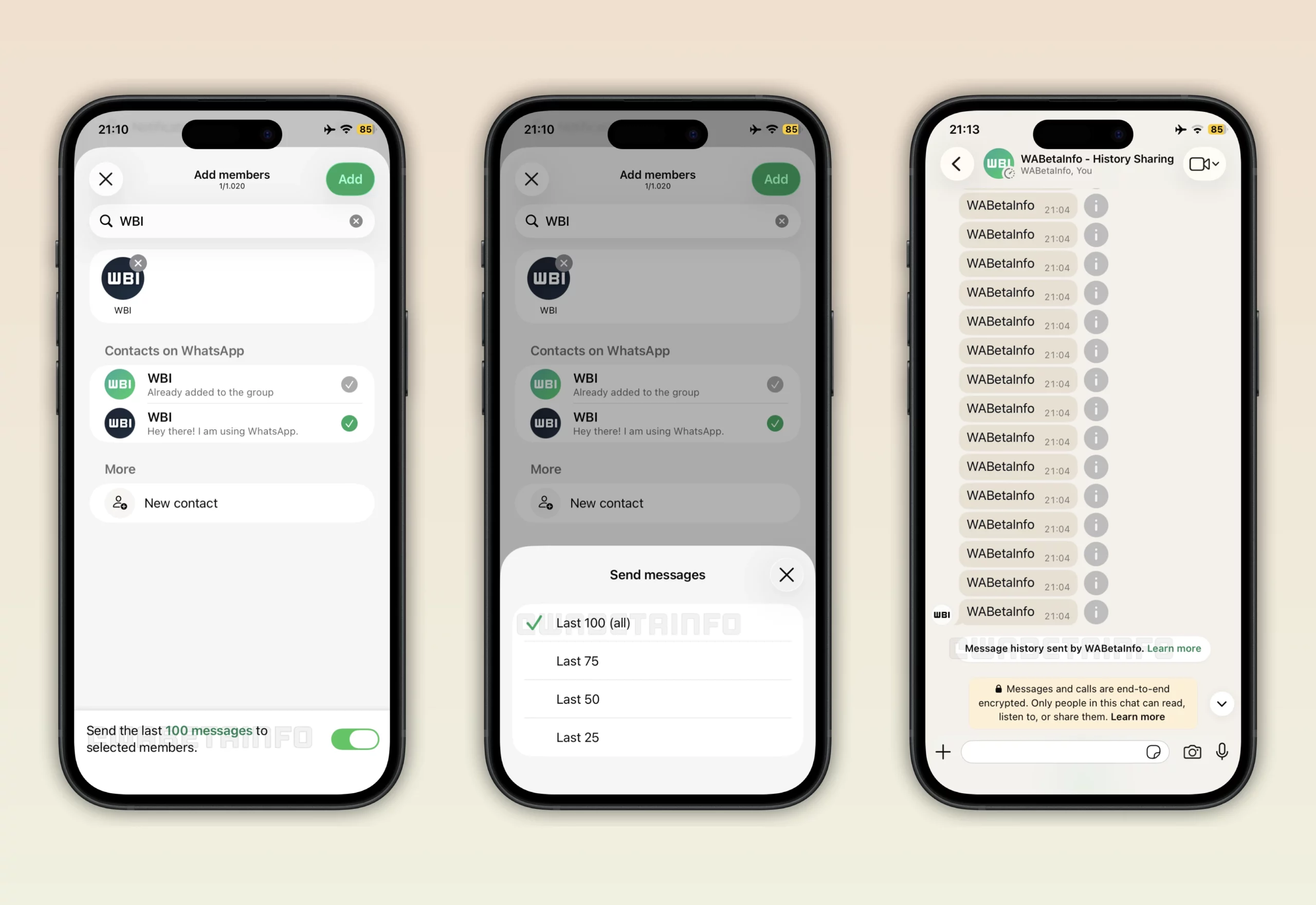 WhatsApp iOS'ta yeni üyelere grup sohbet geçmişini paylaşma ekranı