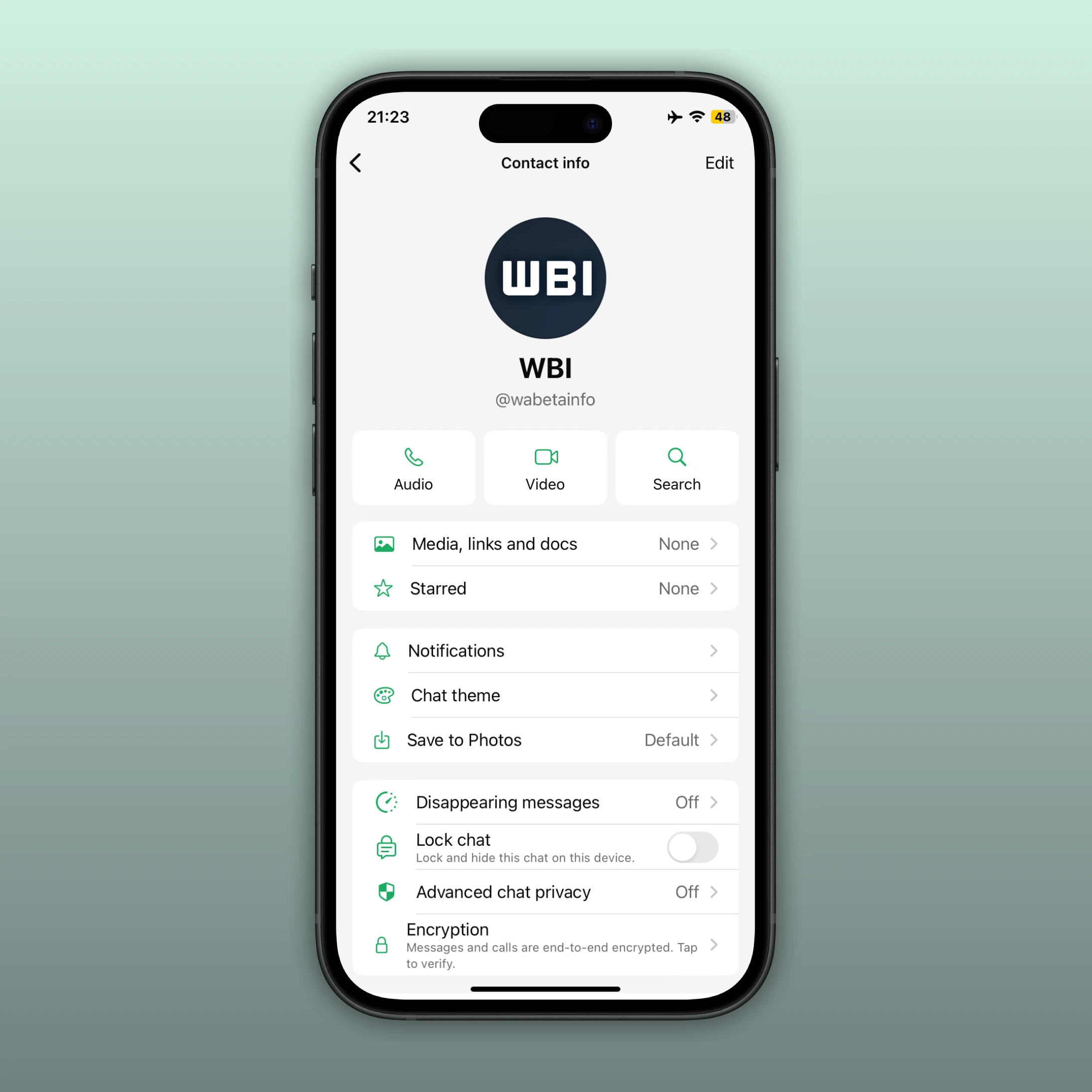 WhatsApp'ta kullanıcı adının sohbet bilgi ekranında nasıl göründüğünü gösteren ekran görüntüsü