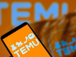 Temu, Temu Türkiye, Temu yurtdışı yasağı, Temu satışları durdu mu, Temu yerel satıcılar, e-ticaret düzenlemesi