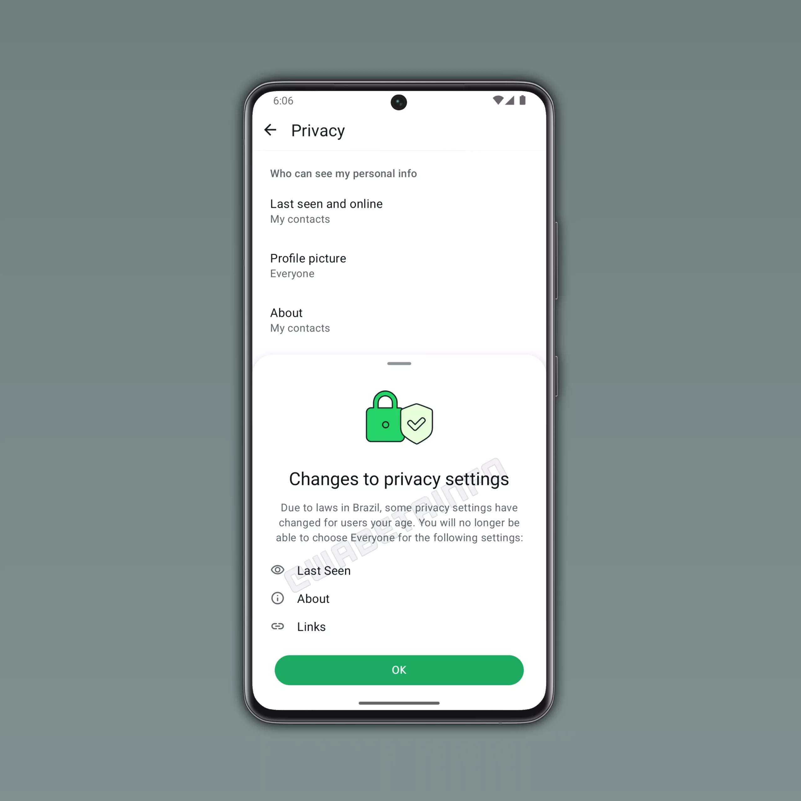 Brezilya'daki yeni düzenlemelere uyum için WhatsApp'ta güncellenen gizlilik ayarlarını gösteren görsel