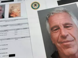 Vincenzo Iozzo, Jeffrey Epstein, Black Hat, Code Blue, Siber Güvenlik, Hacker, SlashID, Adalet Bakanlığı