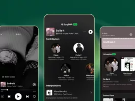 Spotify, SongDNA, Premium, müzik keşfi, şarkı yazarları, Spotify güncellemesi, beta, alıntı, cover