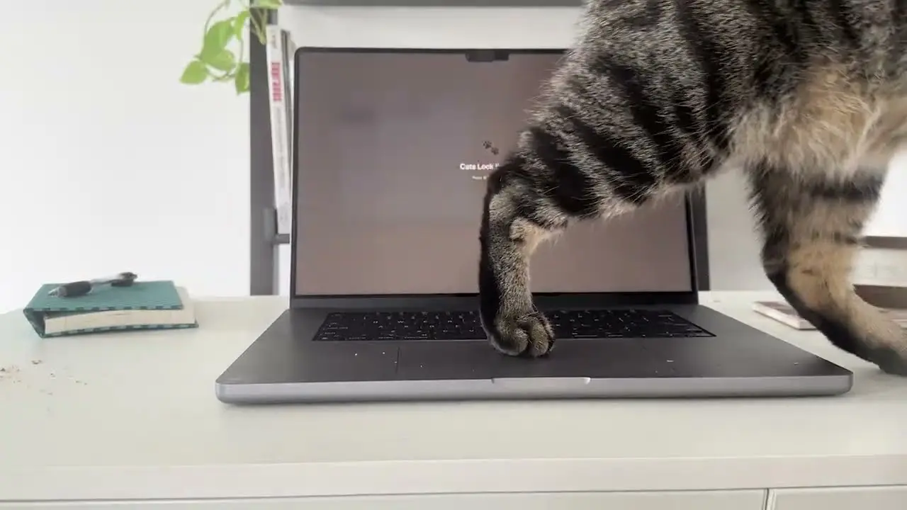 Kedi Sahibi Mac Kullanıcılarına İlaç Gibi Uygulama