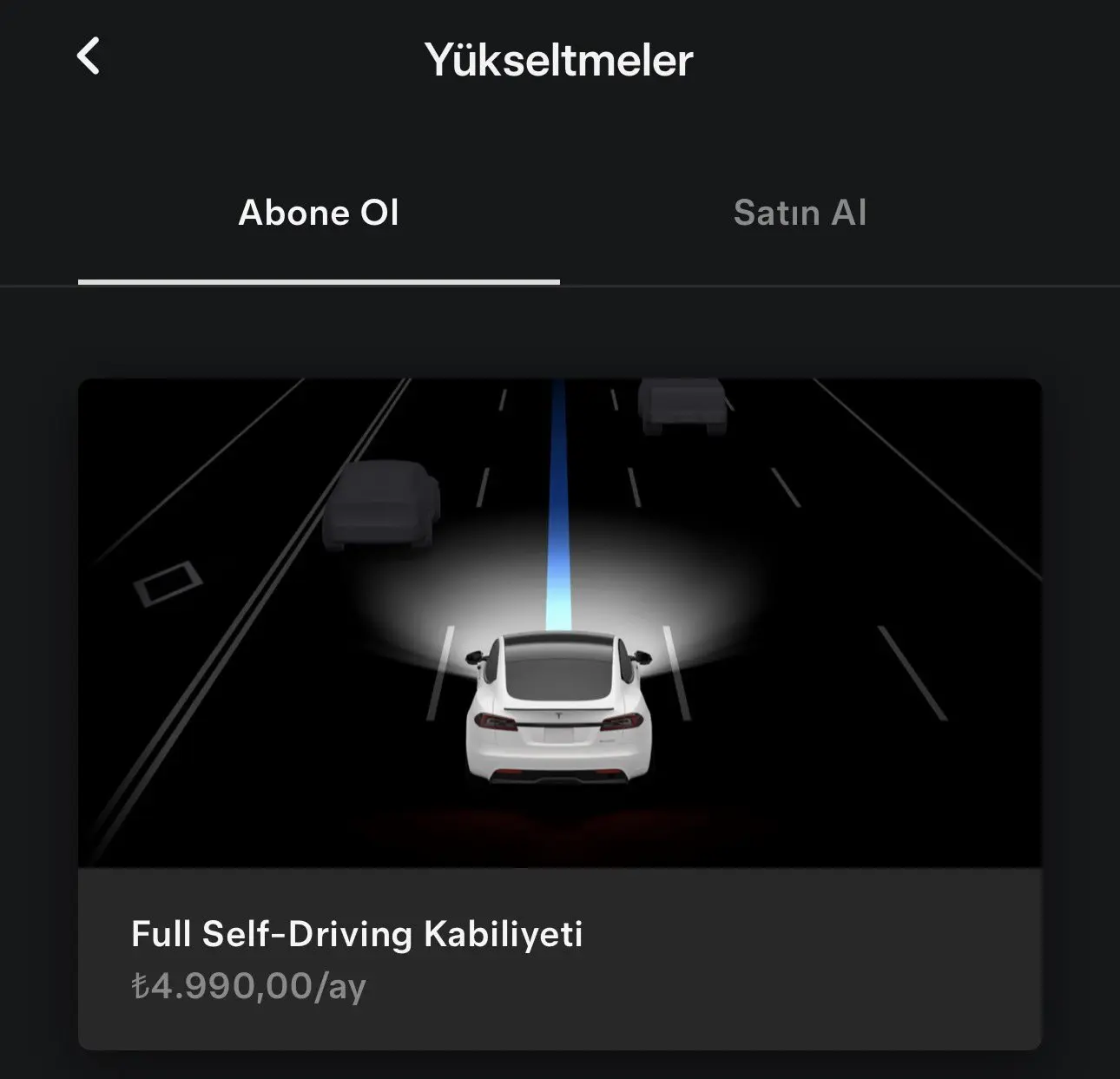 TESLA FSD