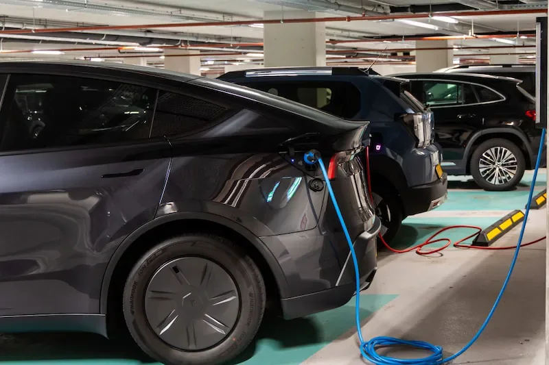 Tesla Model Y, Fiat Grande Panda E, elektrikli araç, menzil testi, enerji tüketimi