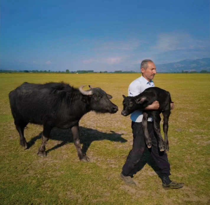 Mehmet Emin Coruş, XMAGE Fotoğraf Yarışması, Tokat, Ticaret Bakanlığı, fotoğrafçılık
