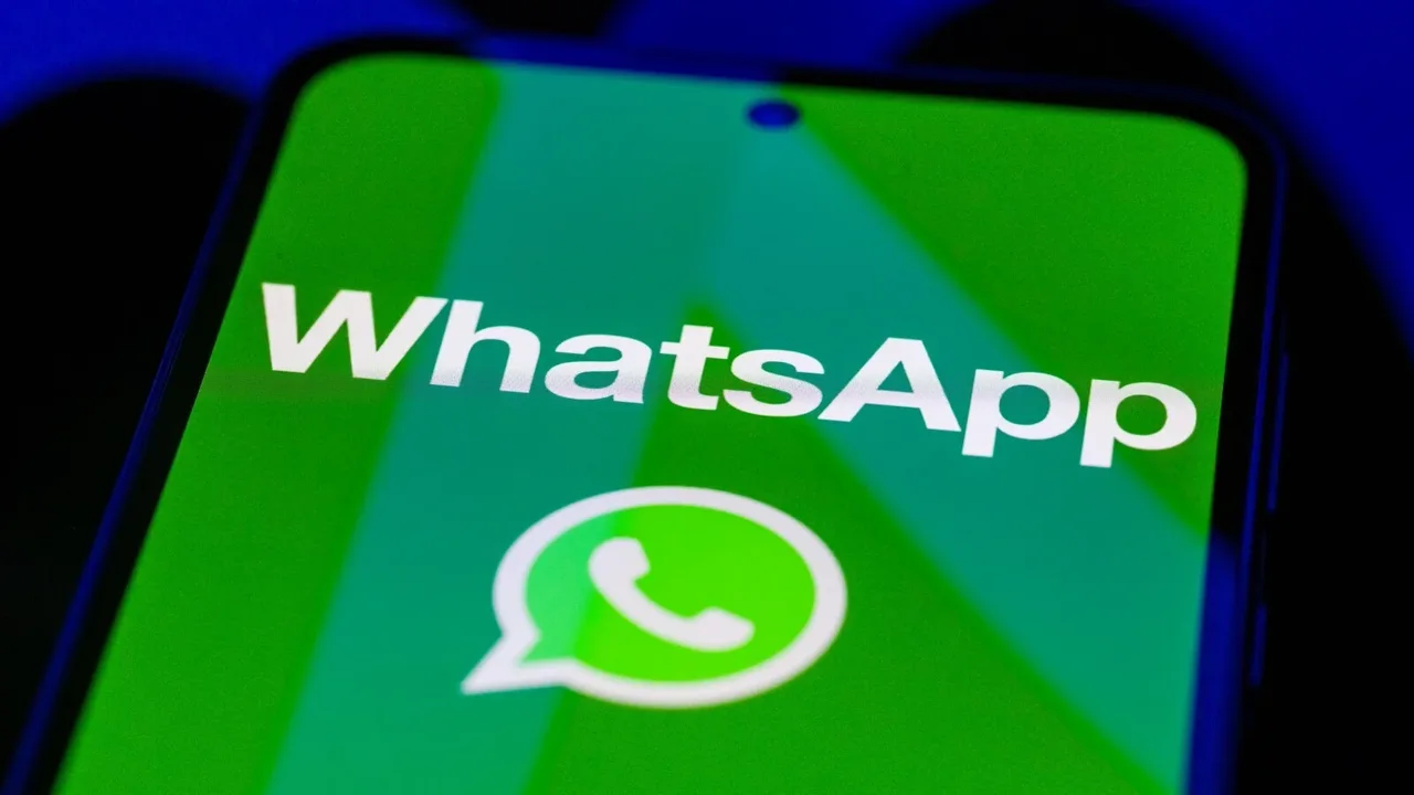 WhatsApp, WhatsApp Plus, Meta, abonelik, sosyal medya