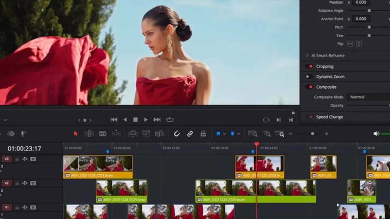 DaVinci Resolve 21