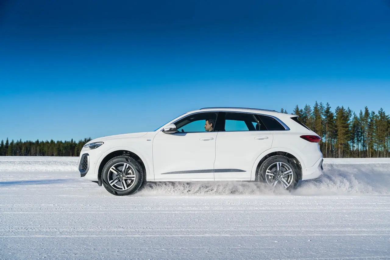 Scorpion Winter 3
