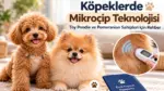 Mikroçip